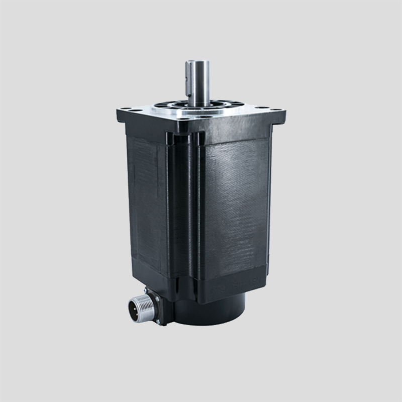 三相110步进电机